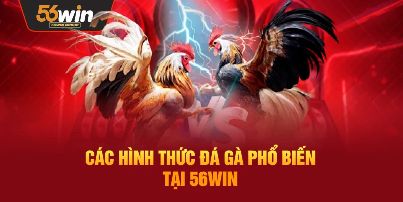 Các loại hình đá gà đang được cung cấp tại 56WIN