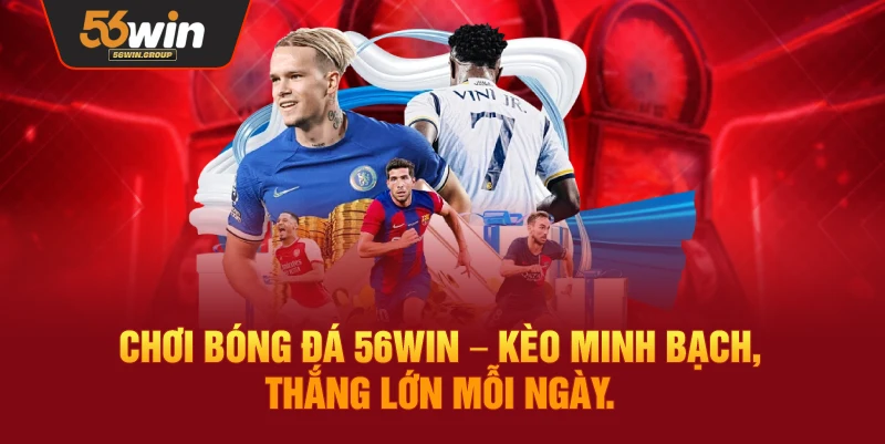 Cá cược bóng đá tại thể thao 56WIN – tỷ lệ rõ ràng, cơ hội chiến thắng mỗi ngày