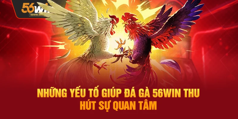 Những điểm nổi bật khiến đá gà 56WIN được nhiều người chơi yêu thích